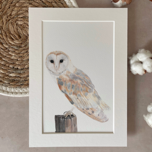 Print | A4 | Barn owl