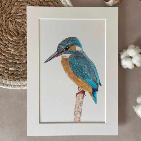 Print | A4 | IJsvogel