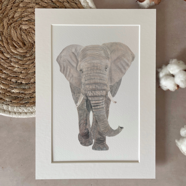 Print | A4 | Olifant