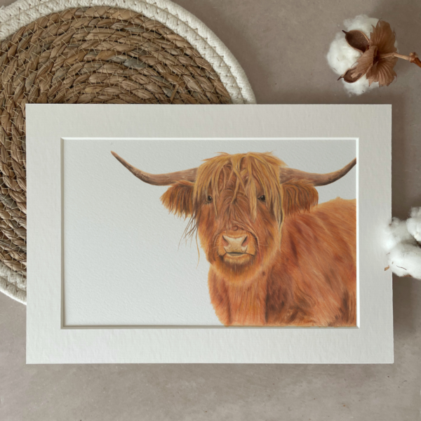 Print | A4 | Highland cow