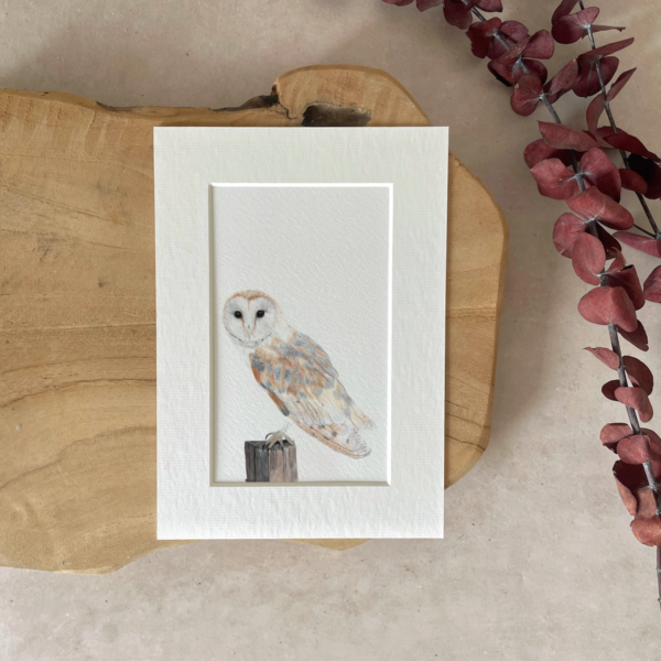 Mini print | A5 | Barn owl