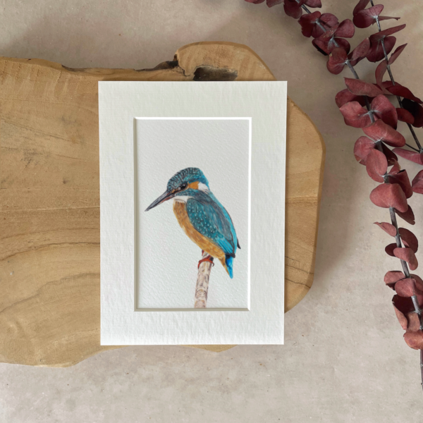 Mini print | A5 | Kingfisher