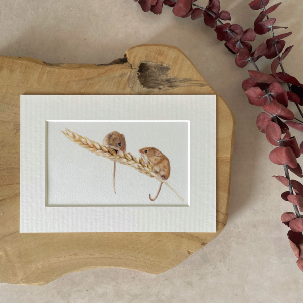 Mini print | A5 | Harvest mouse