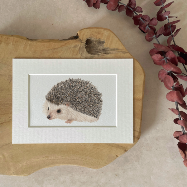 Mini print | A5 | Hedgehog