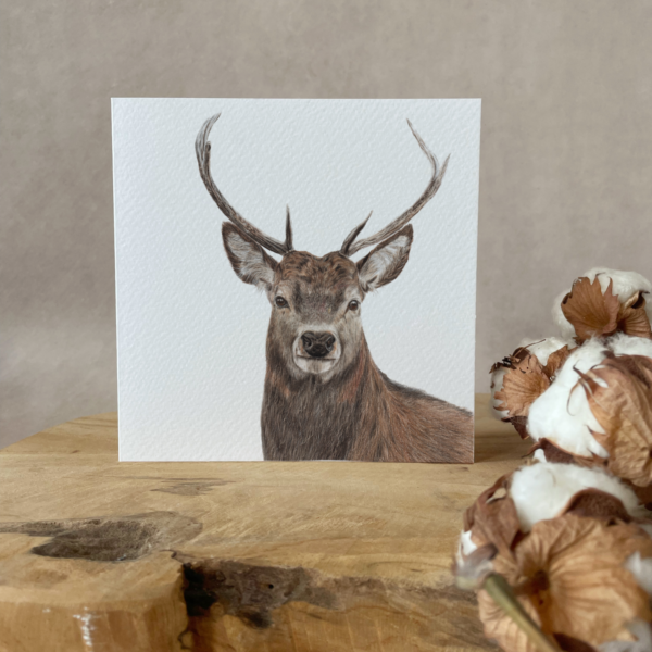 Greeting card | Stag