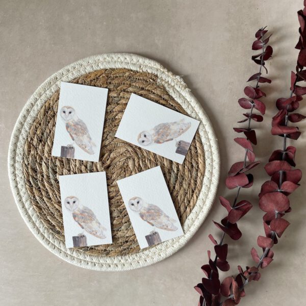 Mini cards | Set of 4 | Barn owl