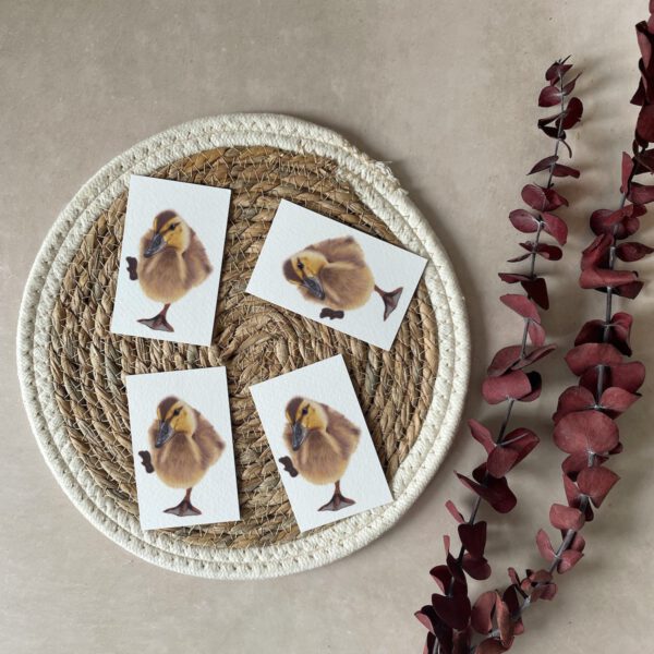 Mini cards | Set of 4 | Duckling