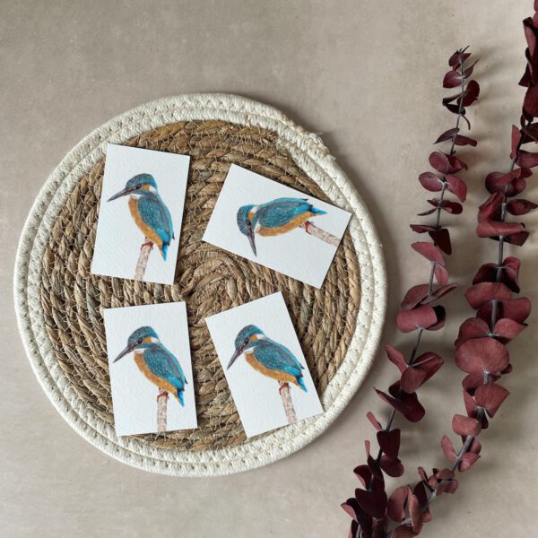 Mini cards | Set of 4 | Kingfisher