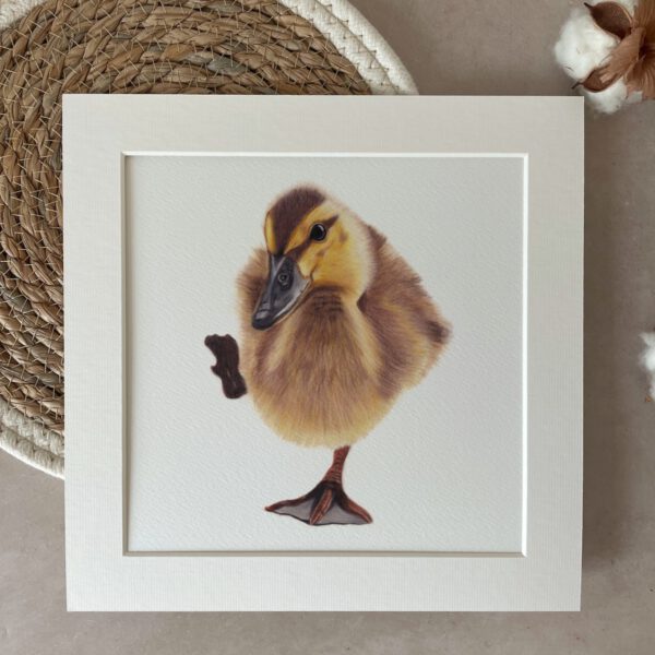 Print | 25x25 cm | Duckling