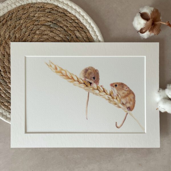 Print | A4 | Harvest mouse