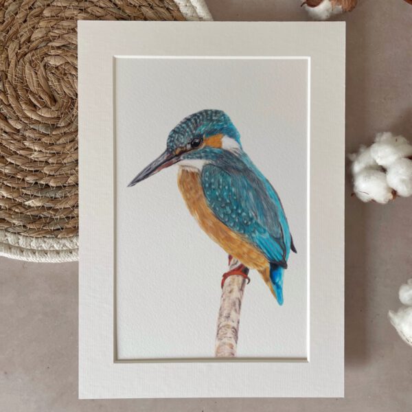 Print | A4 | Kingfisher