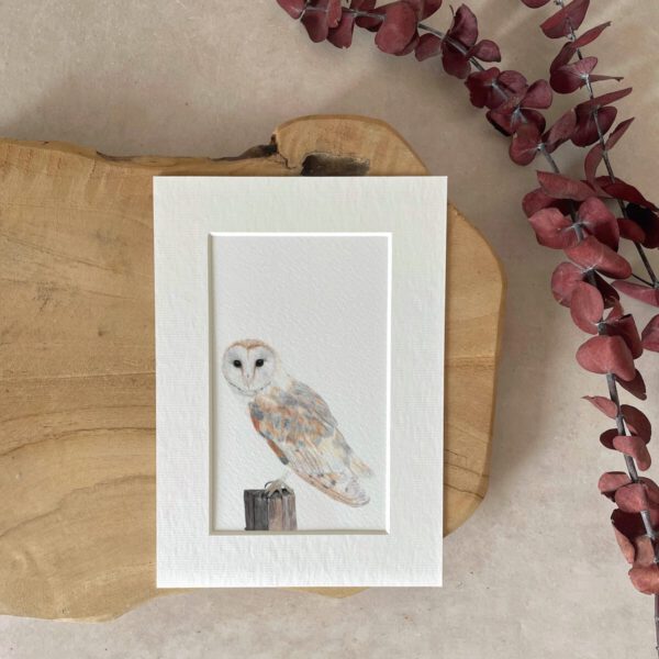 Mini print | A5 | Barn owl