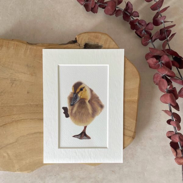 Mini print | A5 | Duckling