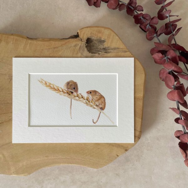 Mini print | A5 | Harvest mouse