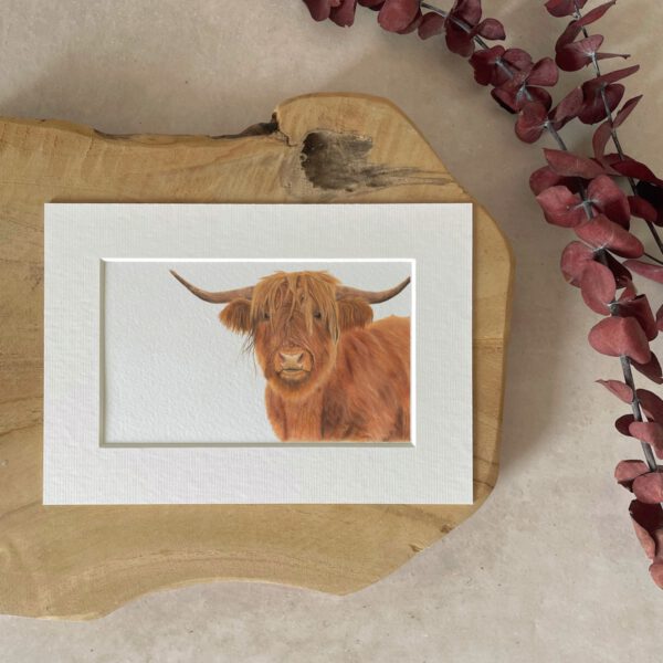 Mini print | A5 | Highland cow