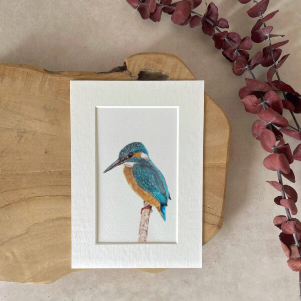 Mini print | A5 | Kingfisher