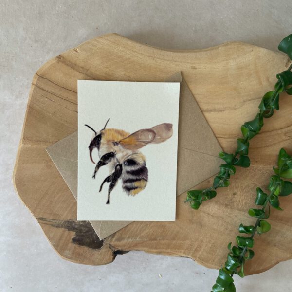 A6 kaart | Hommel