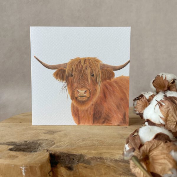 Greeting card | Highland cow