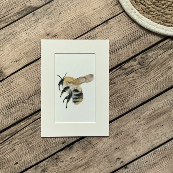 Mini print | A5 | Hommel