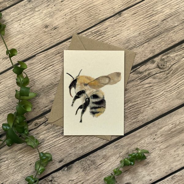 A6 kaart | Hommel