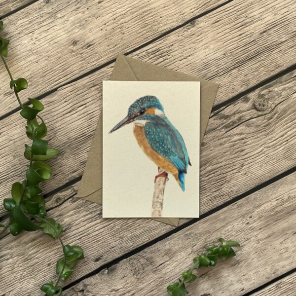 A6 kaart | IJsvogel