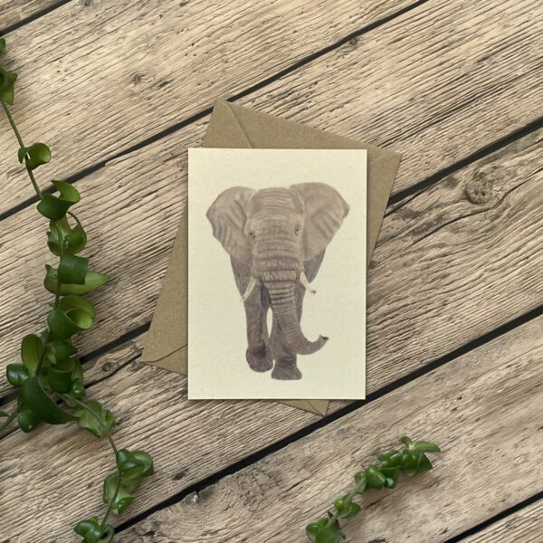 A6 kaart | Olifant